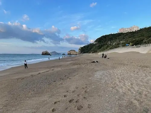 愛知県 伊良湖付近 堀切海岸