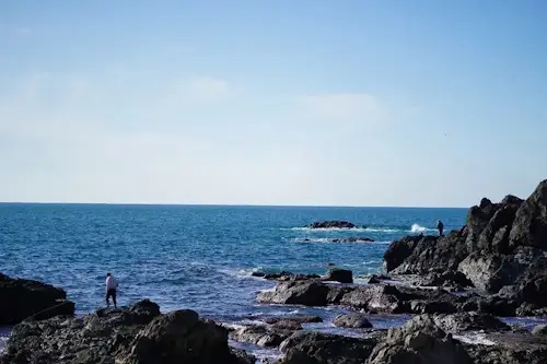 磯釣りの風景