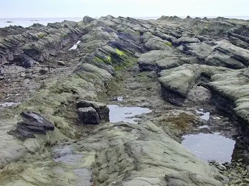 景色が良い釣り場が広がる千葉の磯