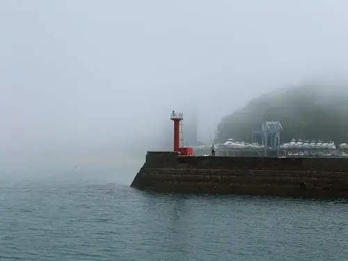 霧の三津浜港