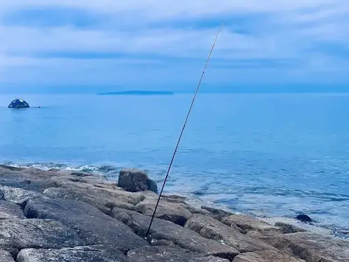 海と釣り竿