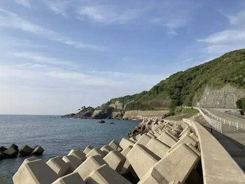 下田温泉からの海