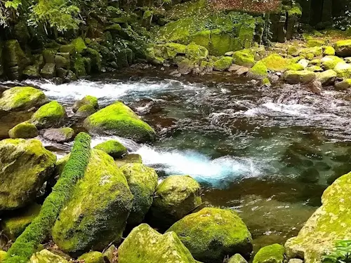 秘境　渓流