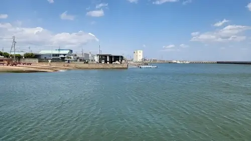 浜辺で魚釣り