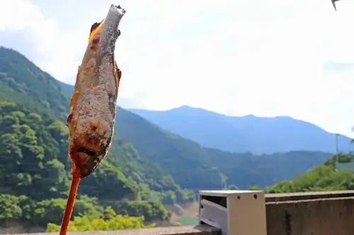 鮎の塩焼き　川上村