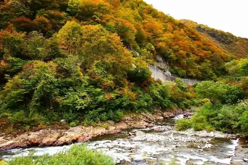 十字峡親水公園の紅葉の秋風景