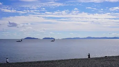 浜辺で魚釣り