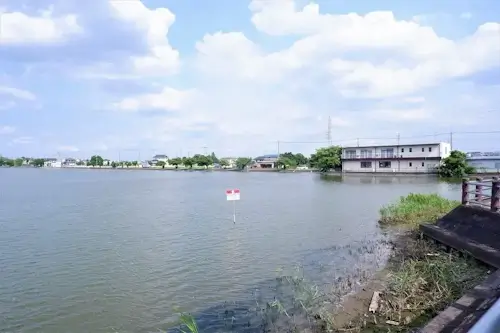 伊佐沼の風景