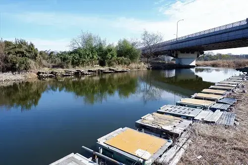 くじら池