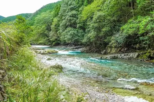 由良海つり公園 (由良町)