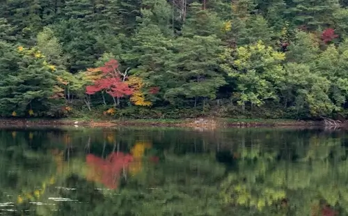 紅葉の始まった大沼