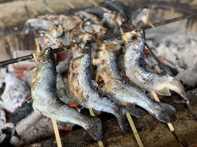 ニジマス炭焼き　トラウト