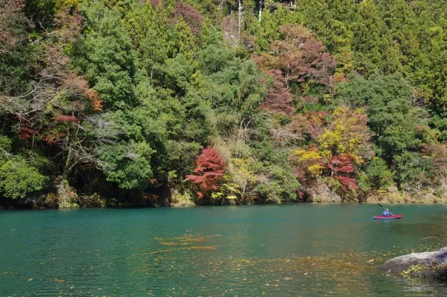 川　カヌー