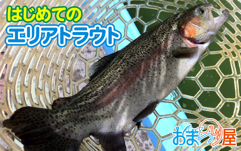 はじめてのエリアトラウト
