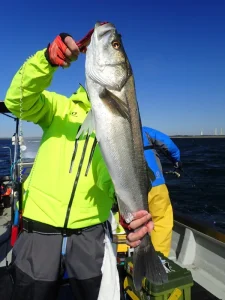 釣り