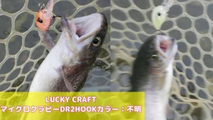 LUCKY CRAFT　マイクロクラピーDR 2HOOK