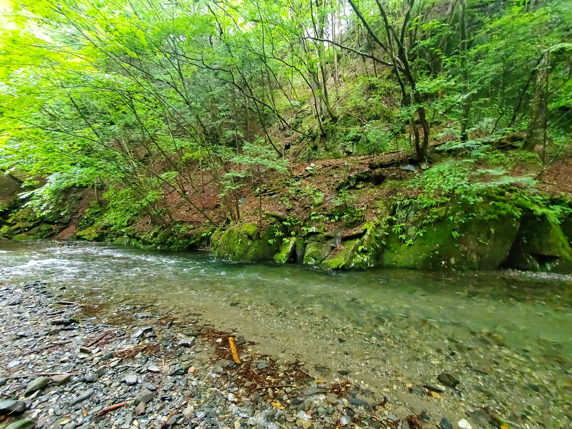 旅鱒１号の管釣り探訪