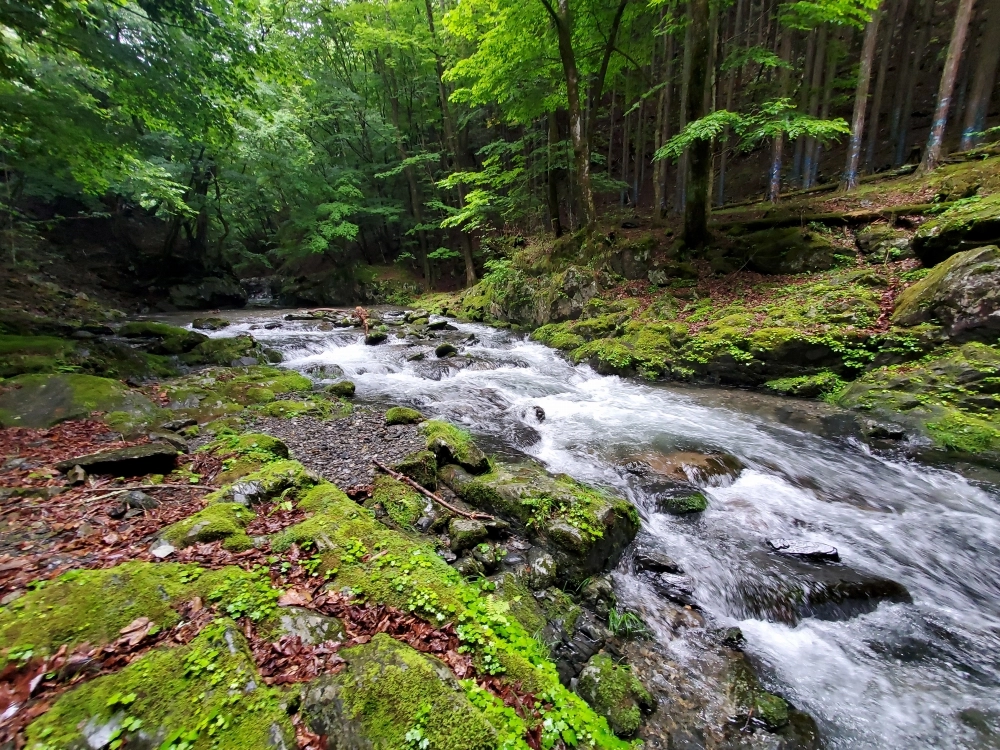 旅鱒１号の管釣り探訪