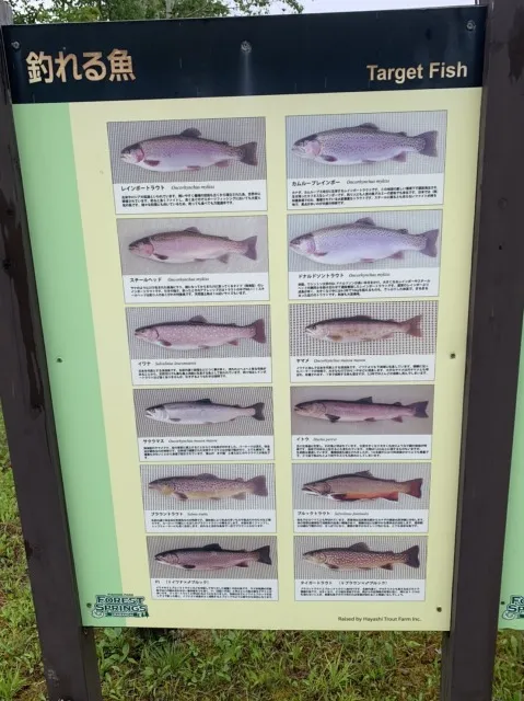 魚の種類