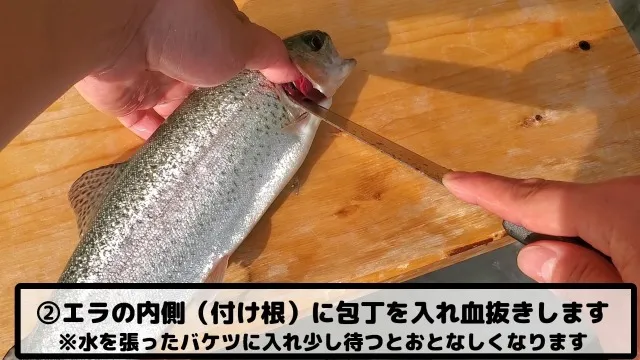 魚の処理の仕方02