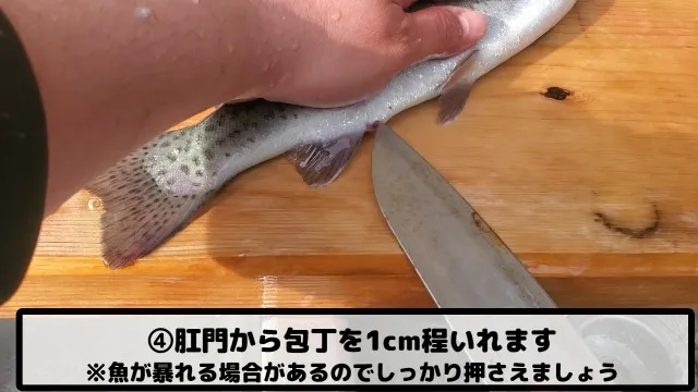 魚の処理の仕方04