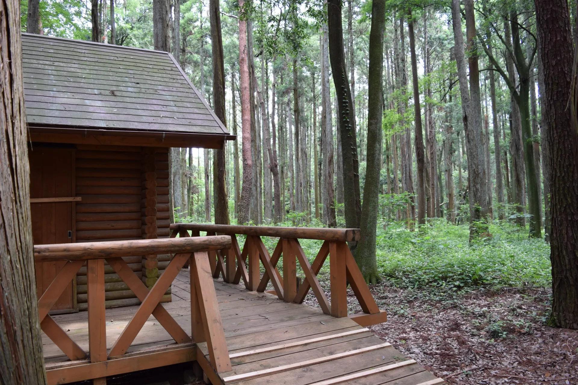 建物（管理棟）